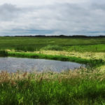 farmpond-150x150-1-17