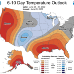 610temp-new_-10-150x150-1-8