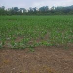 20220624_165316453_ios-150x150-1