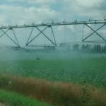 center-pivot-irrigation-system-corn-150x150-1