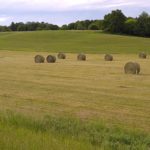 round-bales-1-ll-6-2022-150x150-1-2