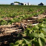 soil-health-150x150-1