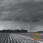 ag-weather-rain-150x150-1-6
