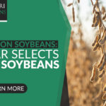 mo-soybeans_scoular-soyleic_800x418-copy-150x150-1