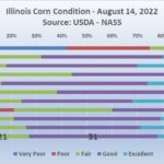 220815-corn-150x150-1