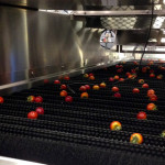 121415fruit-and-vegetable-s-150x150-1