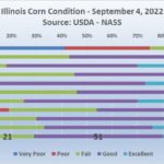 220906-corn-condition-150x150-1