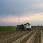 sugarbeet-harvest-thumb-150x150-1