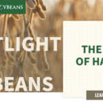 mo-soybeans_rebrand_1200x628-copy-150x150-1