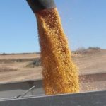 ross-harvest-2010-4-150x150-1-2
