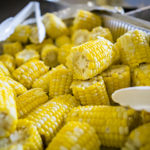 sweet-corn-university-of-missouri-150x150-1