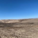 sandhills-150x150-1-6