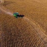 harvest-corn-2020-craig-chandler-university-communication-2-150x150-1-3