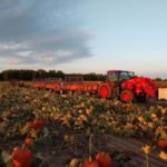 maxwells-pumpkins-e1666749101947-150x150-1