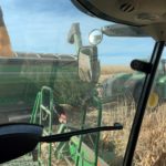 sd-corn-harvest_tregg-cronin_2022-150x150-1