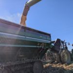 nh_poll-mi-grain-harvest22-150x150-1