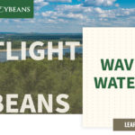 mo-soybeans_wavering-waterways_1200x628-copy-150x150-1