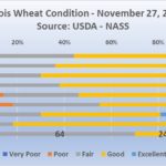 221129-wheat-150x150-1