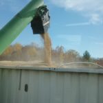 221022-soybeans-into-semi-1-150x150-1-3