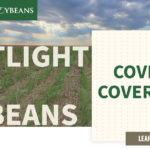 mo-soybeans_covering-cover-crops_1200x628-copy-150x150-1