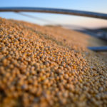 soybeans-graintruck-unitedsoybeanboard-150x150-1