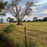 fence_missouri_hartfarm-150x150-1