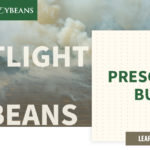 mo-soybeans_prescribed-burn_1200x628-copy-150x150-1