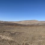 pasture-drought-150x150770604-1