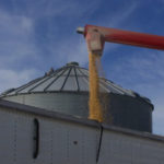 200310_grain_auger_md-150x15025843-1