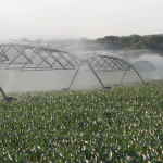 pivot-irrigation-memphis-6-12-150x15080265-1