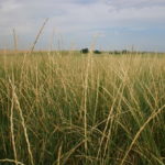 200616_crp_md-150x150540028-1