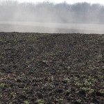 h2014_soil-150x150546083-1