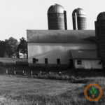 ruralissues400x400-150x15073173-1