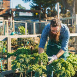 urbanag1-150x150748797-1