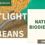 mo-soybeans_national-biodiesel-day_1200x628-copy-150x150449745-1