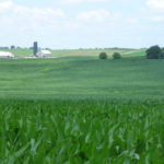 farmland-tom-steever-photo-150x150954036-1