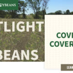 mo-soybeans_covering-cover-crops_1200x628-copy-150x150545929-1