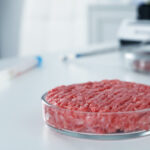 cellcultured-e1680207475724-150x150843468-1