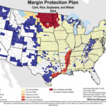 margin-protection-2023-150x150207476-1