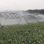 pivot-irrigation-memphis-6-12-150x150667306-1