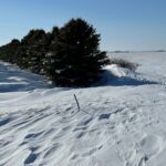 tregg-cronin_snow_april_2023-150x150183907-1
