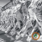 beefpacker-150x150616505-1