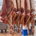 meatpackers-1-150x15060150-1