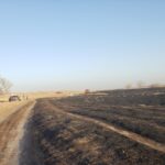 cooksley_fireapirl23-150x15091261-1