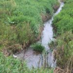 wotus-rule-150x150774424-1