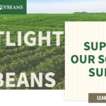 mo-soybeans_support-our-soybean-survey_1200x628-copy-150x150309937-1