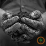soil400x400-150x150874029-1