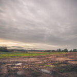 mudpuddle-150x150863159-1