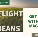 mo-soybeans_get-more-with-your-magazine_1200x628-copy-150x15067129-1