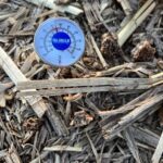 sdsoilgauge_frerichs-150x150115339-1